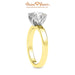 18K Yellow Gold