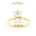 18K Yellow Gold