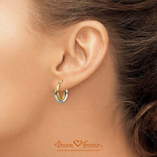 Two Tone Double Hoop Earrings