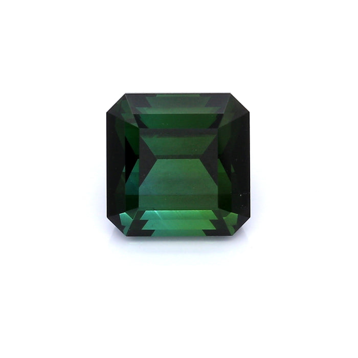 4.19 EC1 Octagon Green Tourmaline