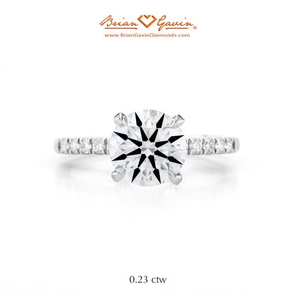 14K White Gold