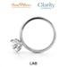 18K White Gold