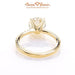 18K Yellow Gold