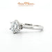 18K White Gold